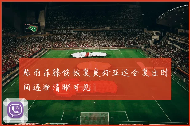 陈雨菲膝伤恢复良好亚运会复出时间逐渐清晰可见