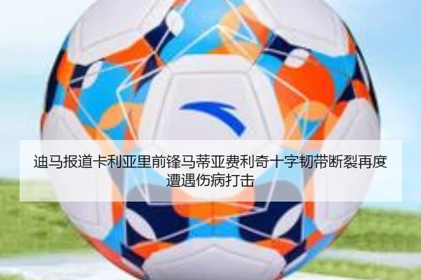 迪马报道卡利亚里前锋马蒂亚费利奇十字韧带断裂再度遭遇伤病打击